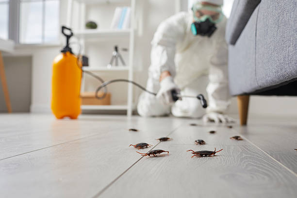 Commercial Kitchen Cockroach Control in National Park